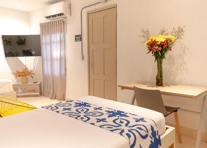 Hotel que admite mascotas: Hostel Musa Paradisiaca