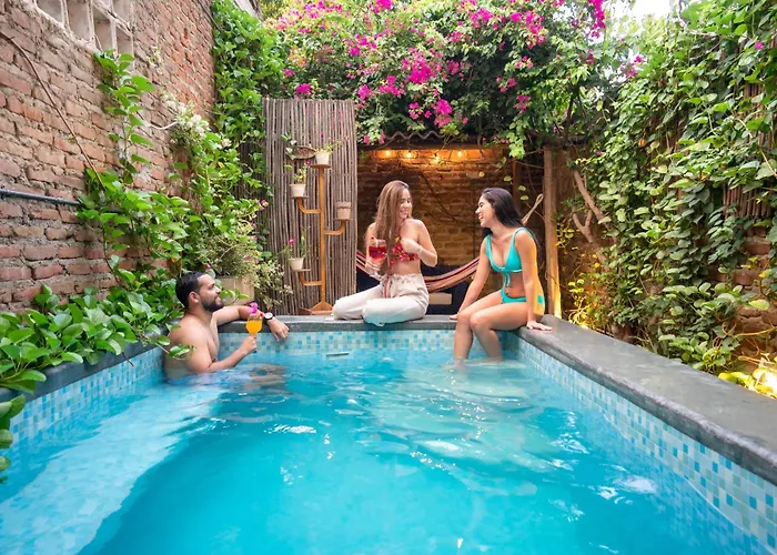 Hotel que admite mascotas: Hostel Musa Paradisiaca