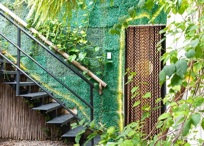 Hotel que admite mascotas: Hostel Musa Paradisiaca